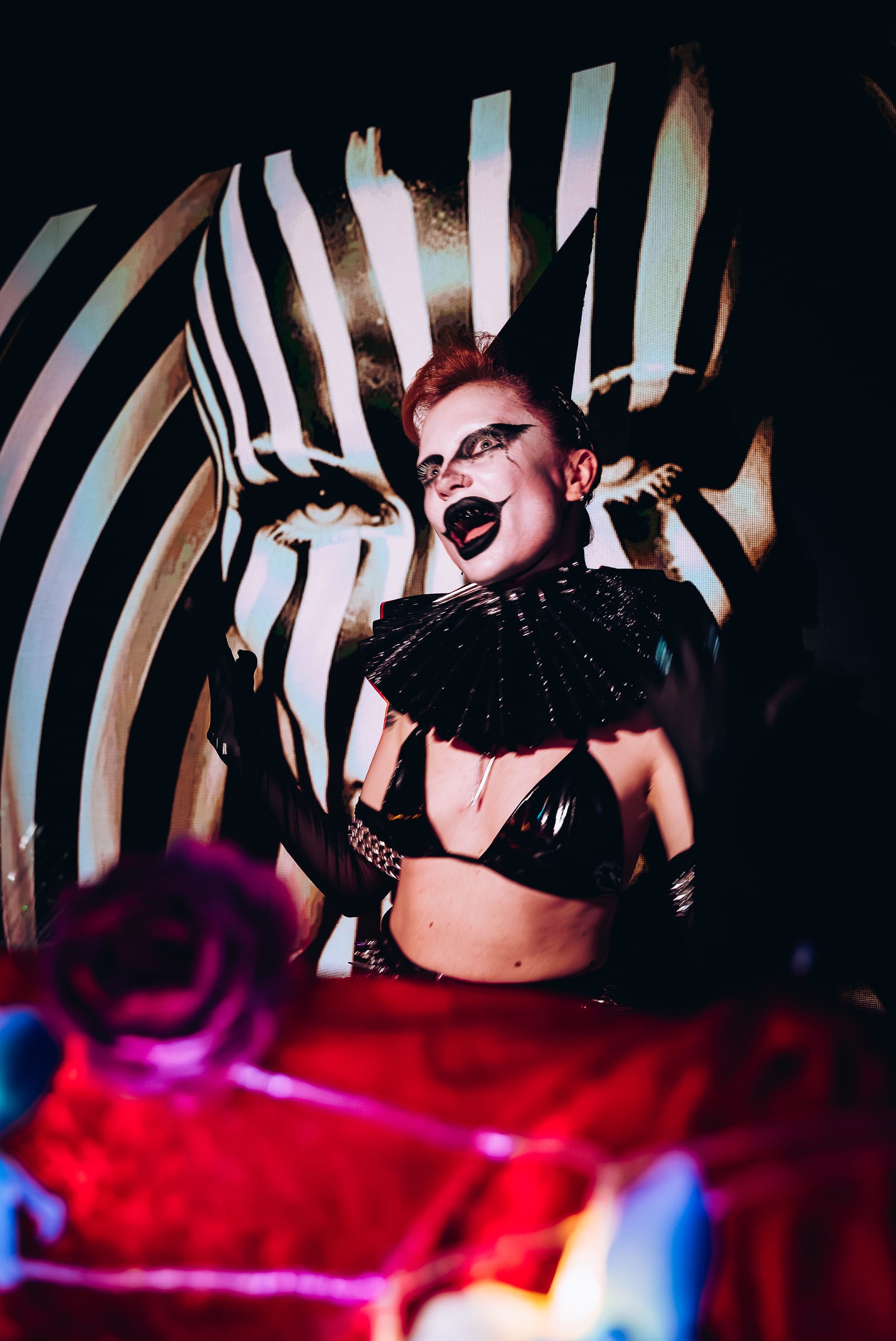 Red zebra editorial